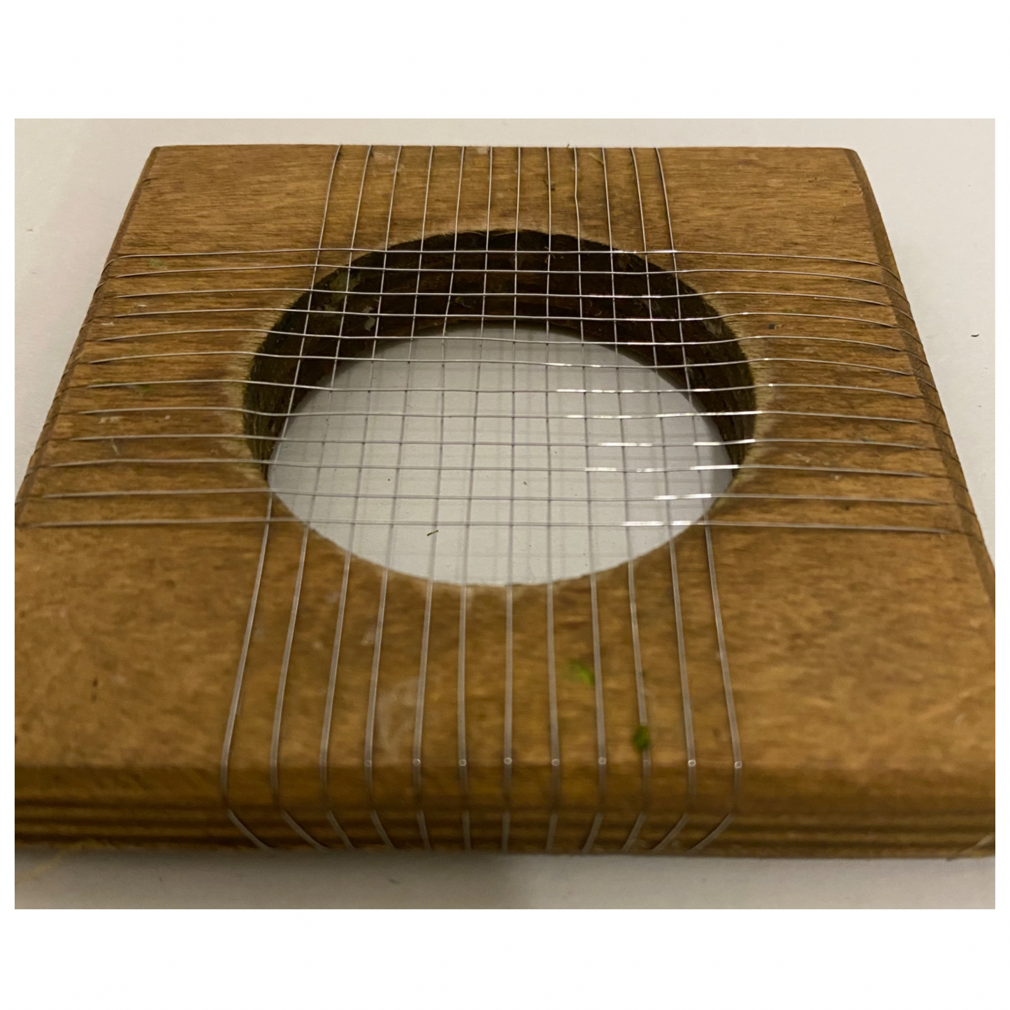 Taglia Puntarelle: l’originale